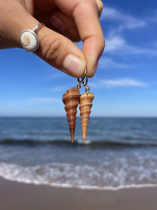Turritella Charms