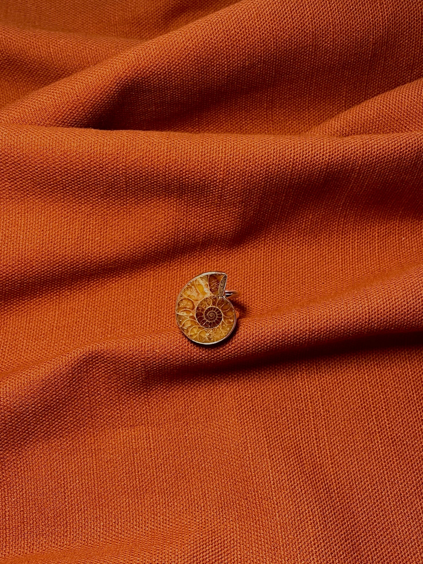 Double Banded Ammonite Ring