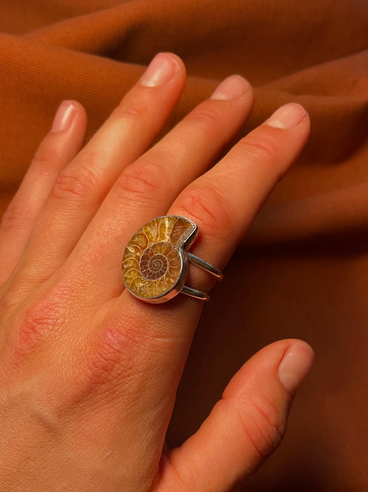 Double Banded Ammonite Ring