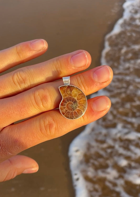 Ammonite Pendant