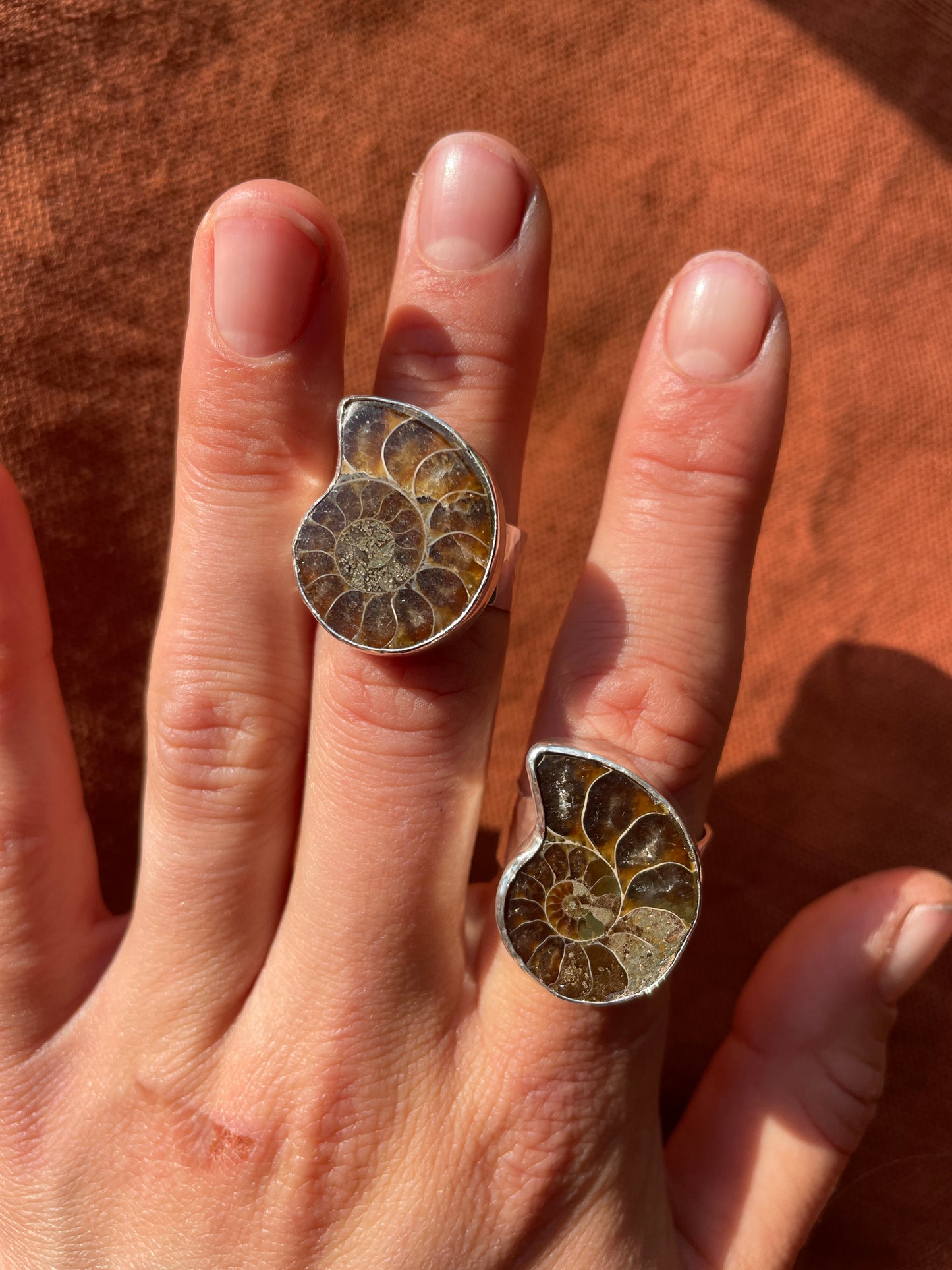 Hammered Ammonite Ring