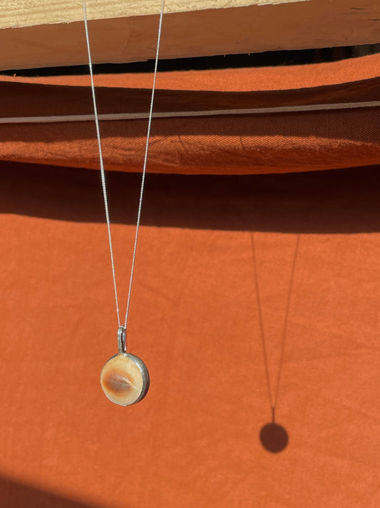 Reversible Operculum Pendant