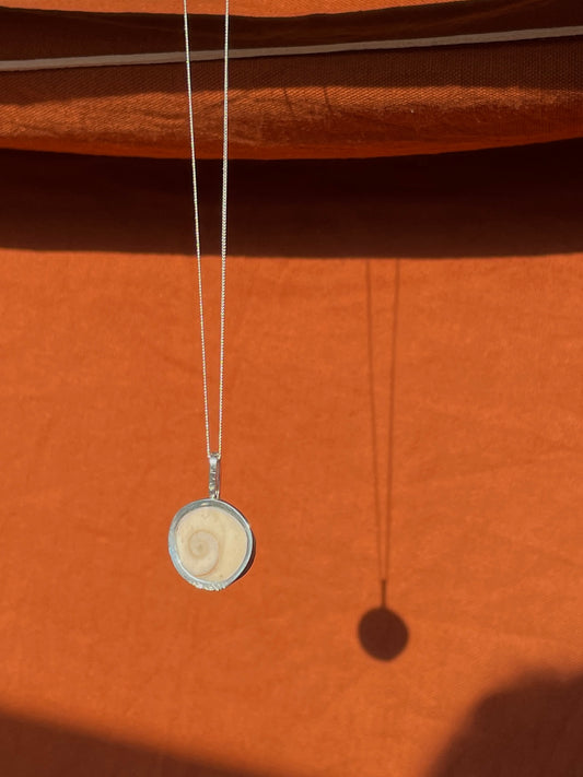 Reversible Operculum Pendant